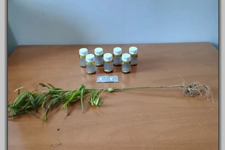 Τρίκαλα: Άνδρας συνελήφθη με πάνω από 200 ναρκωτικά χάπια