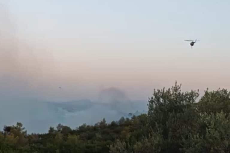Φωτιά στο Ασπροχώρι Ωρωπού: Συνεχίζεται η μάχη τις φλόγες – Βελτιωμένη η εικόνα, ξεκίνησαν τα εναέρια (βίντεο)