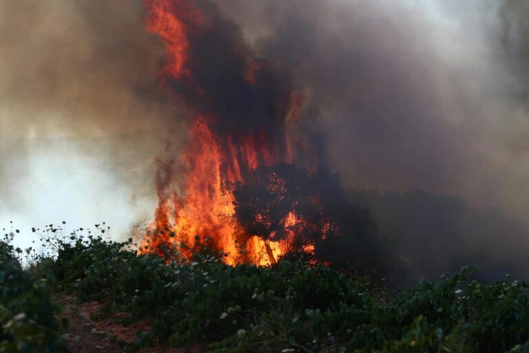 Πολύ υψηλός κίνδυνος πυρκαγιάς για αύριο Παρασκευή (1/8) στην Αττική και 4 ακόμη περιοχές (χάρτης)
