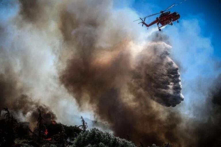 Καλαμάτα: Φωτιά τώρα στη Ρίζα Αγριωμάτων – Επιχειρούν ισχυρές επίγειες και εναέριες δυνάμεις