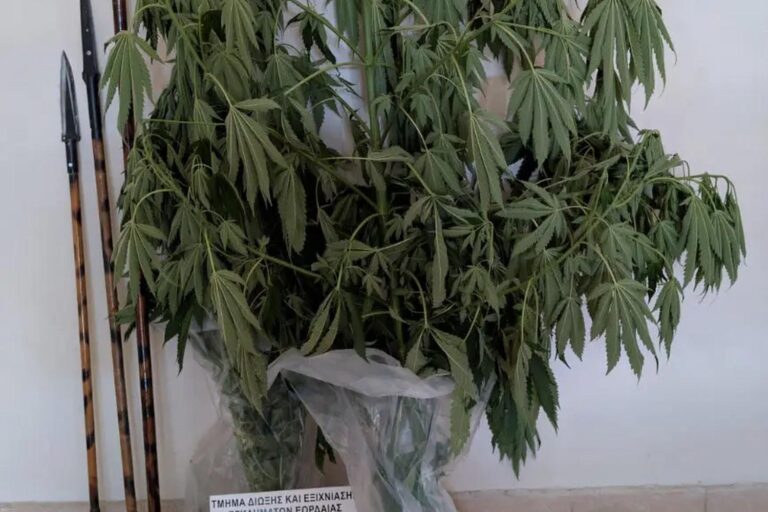 Συνελήφθη 62χρονος στην Πτολεμαΐδα για καλλιέργεια κάνναβης, κατοχή ναρκωτικών και οπλοκατοχή