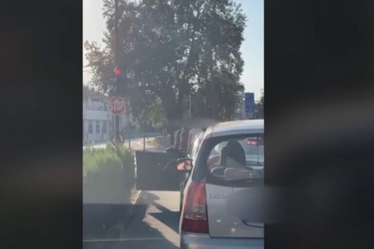 Τρίκαλα: Άγριος καβγάς σε φανάρι κεντρικού δρόμου – Επιβάτες ΙΧ έπαιξαν ξύλο με πεζό (βίντεο)