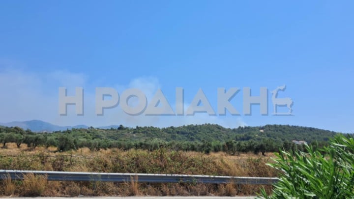 04c052e09c3de25a1d4beb6b0d68dbf3 b