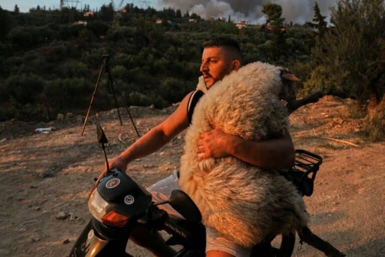 Αχαΐα: Αυτός είναι ο 33χρονος που έγινε σύμβολο σώζοντας ένα πρόβατο – «Είμαι τρελάκιας με τα ζώα» (βίντεο)