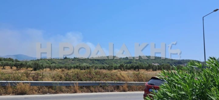 c3755373801b711058bc065e3bd625e6 b