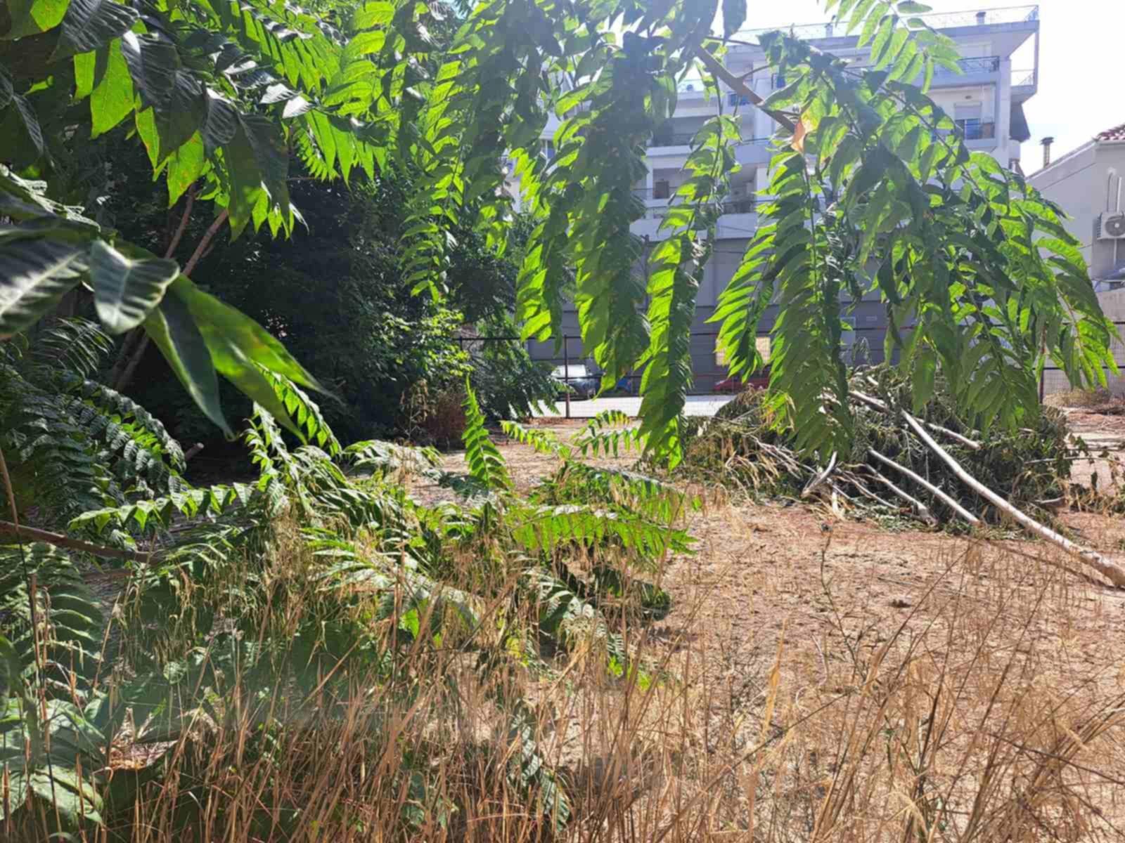 c9ac1204 ef09 4954 a40c edc48d5333e6