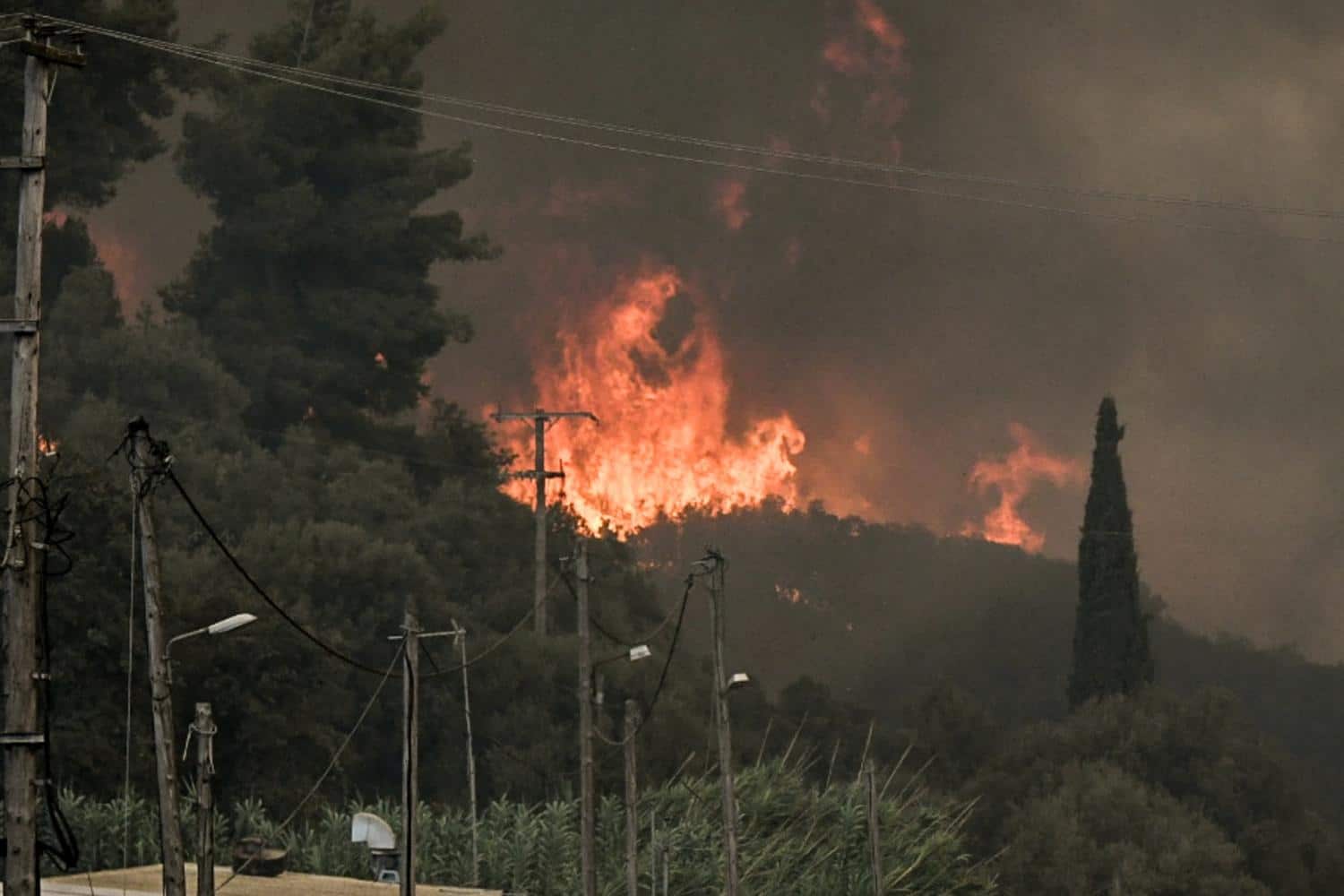 chalkidiki parateinetai i apagorefsi kykloforias 12 8 25