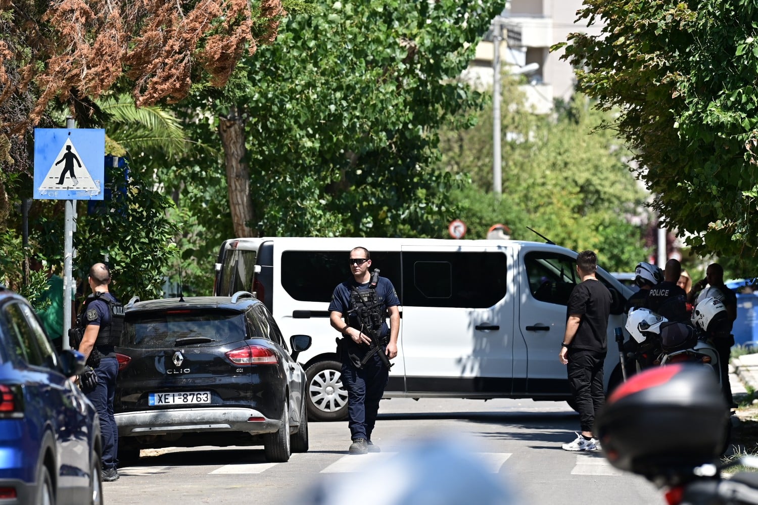 dolofonia xalandri 18 8 2025 4