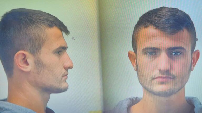 drapetis kastoria 768x432 1