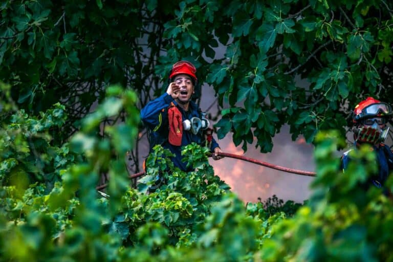 Φωτιές: «Εφιάλτης δίχως τέλος σε όλα τα μέτωπα – Σε κατάσταση έκτακτης ανάγκης ο δήμος Ζηρού, στην Πρέβεζα (εικόνες & βίντεο)