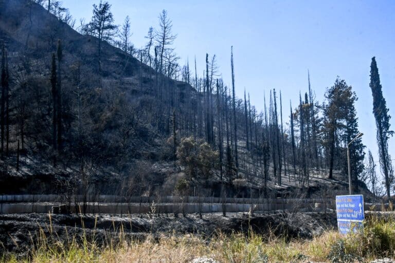 Η επόμενη μέρα μετά τις φωτιές στην Αχαΐα: «Φυλάμε καραούλι για πλιάτσικο, δεν υπάρχει πια το χωριό μας» (βίντεο)
