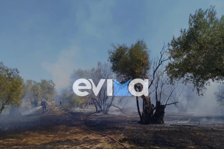 Φωτιά στη βόρεια Εύβοια – Συναγερμός στην Πυροσβεστική