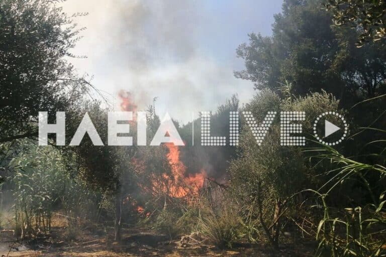 Συναγερμός στην Ηλεία: Φωτιά στην Μέλισσα Λεχαινών – Ήχησε το «112»