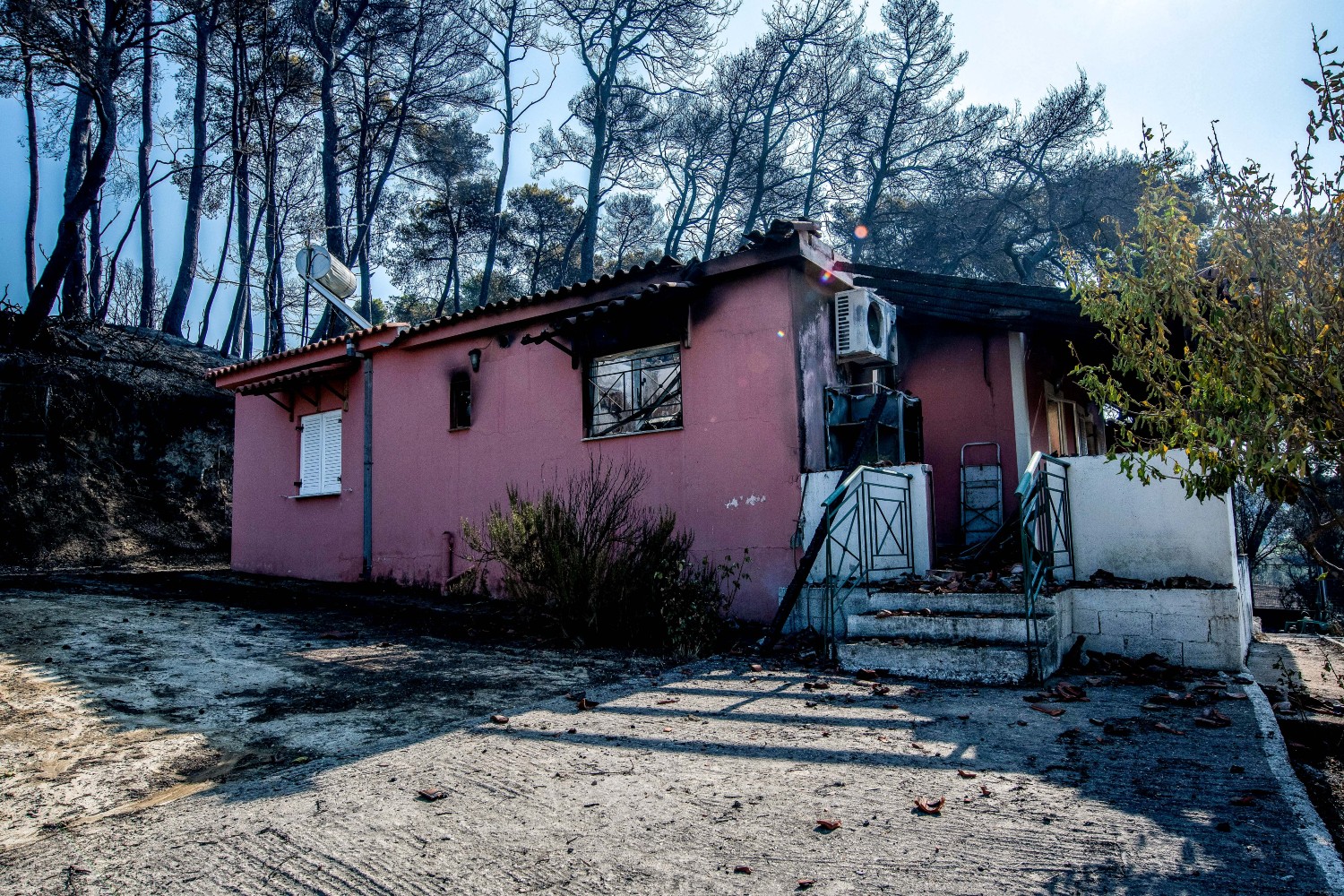 fotia ileia 10 8 2025