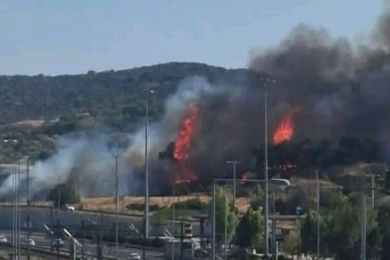 Φωτιά στην Παιανία κοντά στην Αττική Οδό – Ήχησε το «112» (βίντεο)