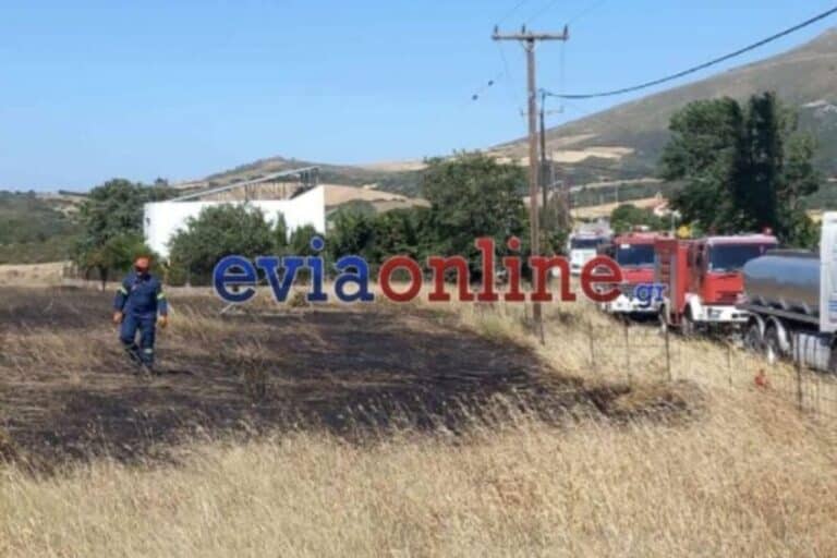 Εύβοια: Υπό έρευνα έξι ανήλικα παιδιά για τη συμμετοχή τους σε πυρκαγιές στην Ερέτρια – Εξετάστηκαν οι γονείς τους