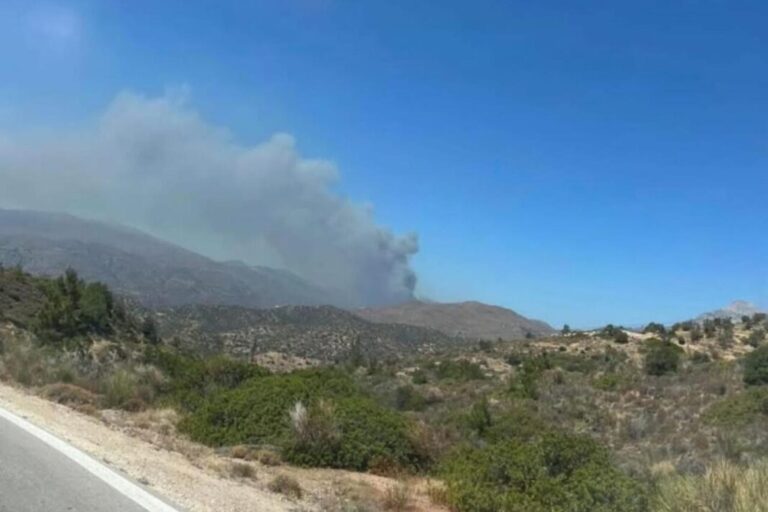 Φωτιά τώρα σε δασική έκταση στα Χάλανδρα Χίου – Ήχησε το 112