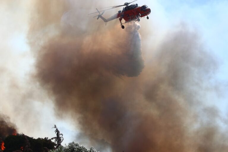 Φωτιά τώρα στην Ερμιόνη Αργολίδας – Κινητοποιήθηκαν και εναέρια μέσα