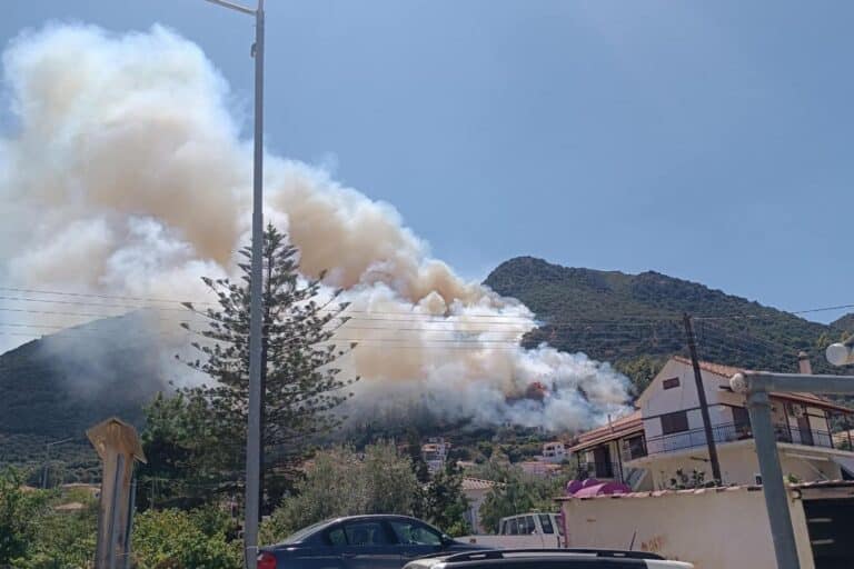 Φωτιά τώρα στην Τροιζήνα – Κοντά στο χωριό οι φλόγες (εικόνες & βίντεο)