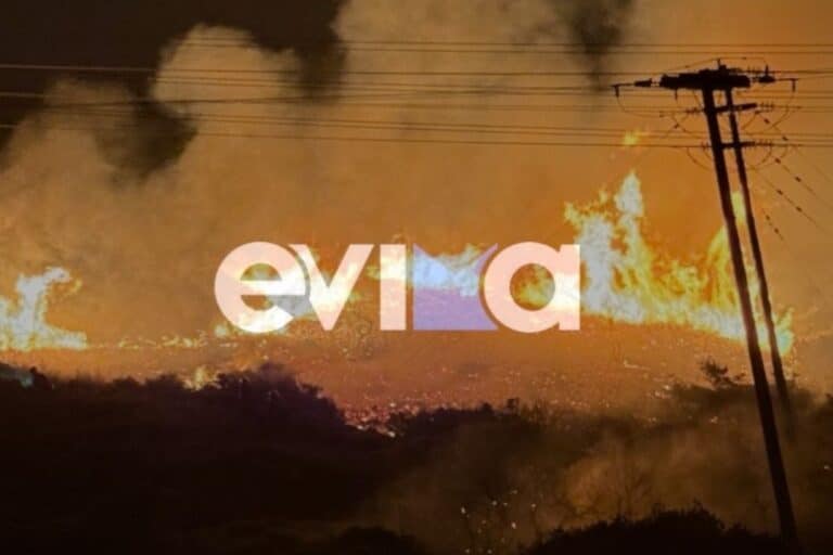 Φωτιά τώρα στα Μεσοχώρια Ευβοίας – Σηκώθηκαν δύο ελικόπτερα