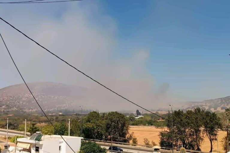 Φωτιά τώρα στα Παλιοκαμάριζα Αττικής – Ισχυρές δυνάμεις της Πυροσβεστικής, μήνυμα 112 για εκκένωση του Θορικού