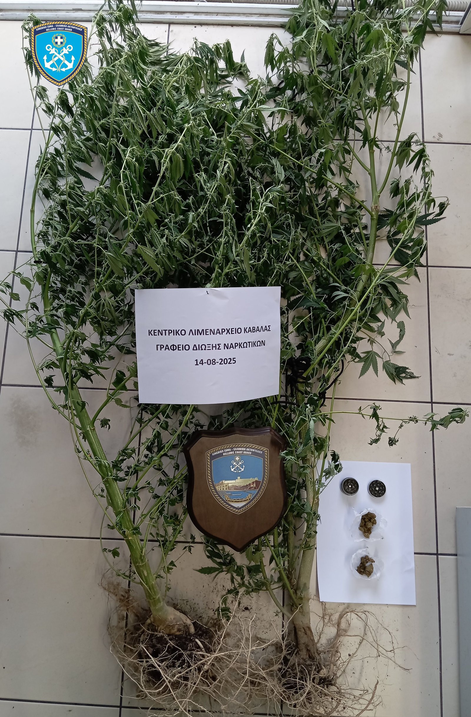 kabala narkotika limeniko 15 08 2025 1