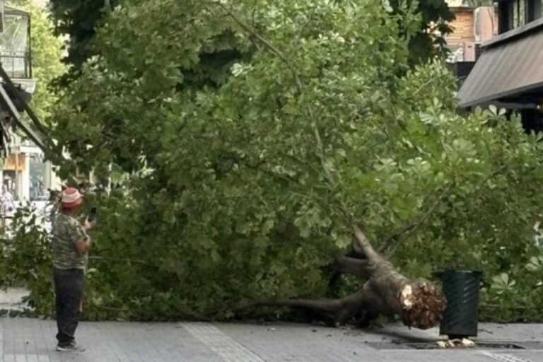 Γρεβενά & Κοζάνη χωρίς ρεύμα, λόγω πτώσης δένδρων σε πυλώνες της ΔΕΔΔΗΕ (βίντεο)