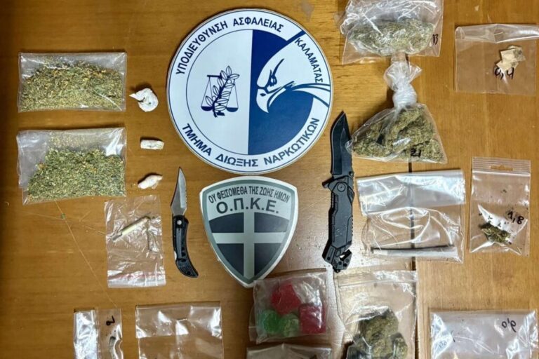 Μεσσηνία: Έφοδος της ΕΛ.ΑΣ σε παράνομη κατασκήνωση στην Ελαία – Συνελήφθησαν 17 άτομα