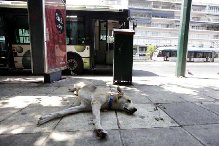 Δεκαπενταύγουστος: Πώς θα κινηθούν τα Μέσα Μαζικής Μεταφοράς παραμονή και ανήμερα
