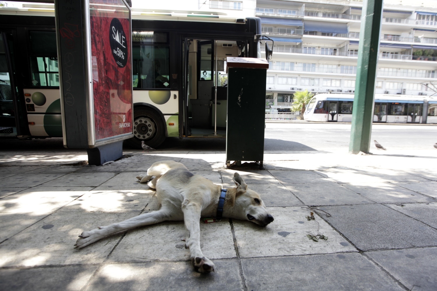 mmm dekapentaugoustos