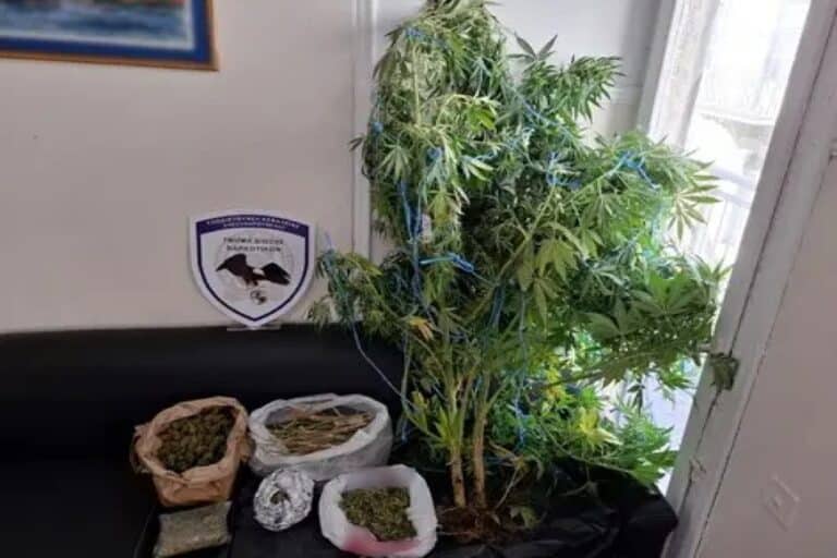 ΕΛ.ΑΣ.: Συνελήφθησαν για ναρκωτικά 14 άτομα σε περιοχές της Ανατολικής Μακεδονίας και Θράκης