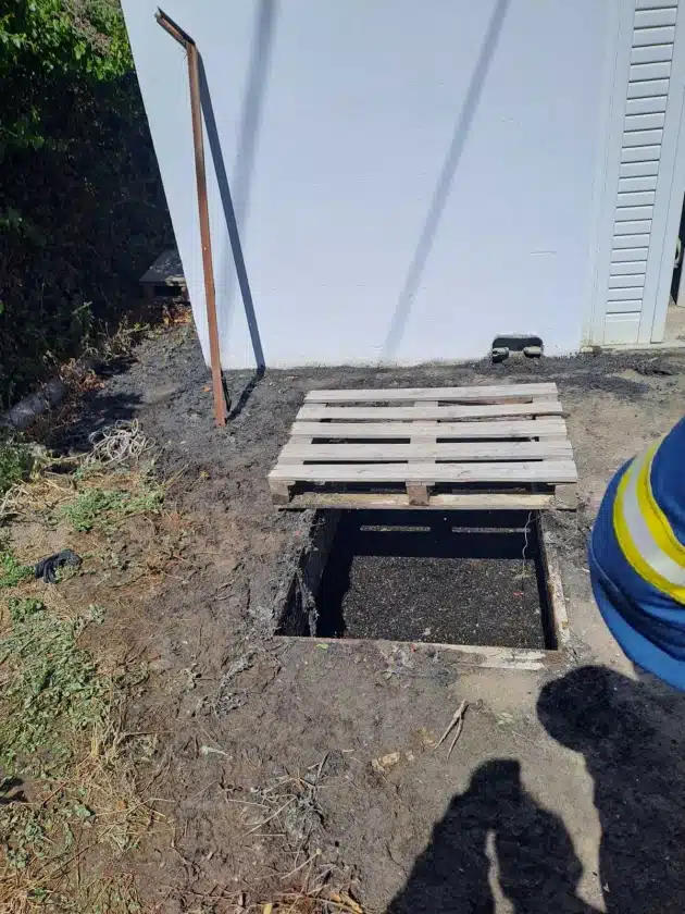 nekros dafnes neo neo.jpg