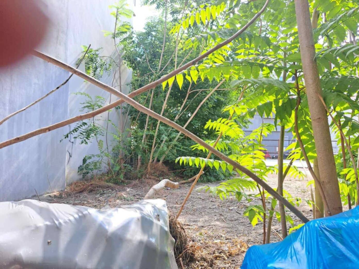 oikopedo 1 1392x1044 1