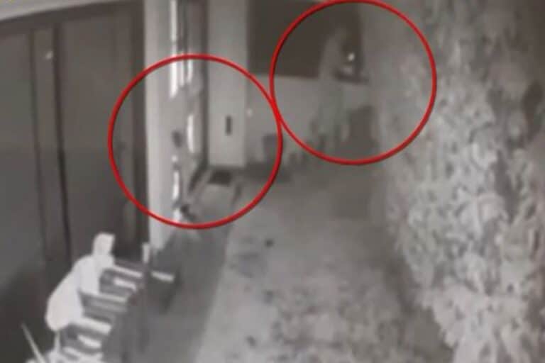 Ασπρόπυργος: Βίντεο από τη σπείρα που «ξάφριζε» σπίτια – Πέταξαν πυροσβεστήρα σε αστυνομικούς, δύο συλλήψεις