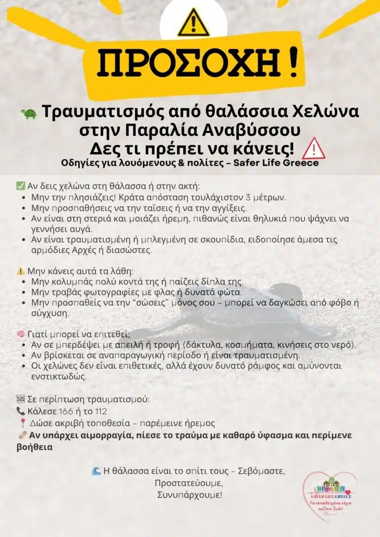 xelwna odigies 04 08 2025