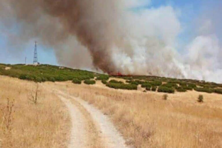 Λάρισα: Μεγάλη φωτιά σε περιοχές των Φαρσάλων – Ήχησε το «112»