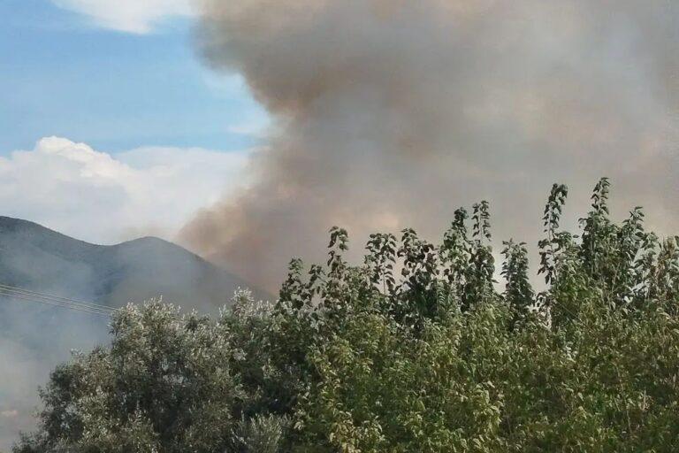 Φωτιά στο Αριοχώρι Καλαμάτας: Επιχειρούν 29 πυροσβέστες για την κατάσβεση