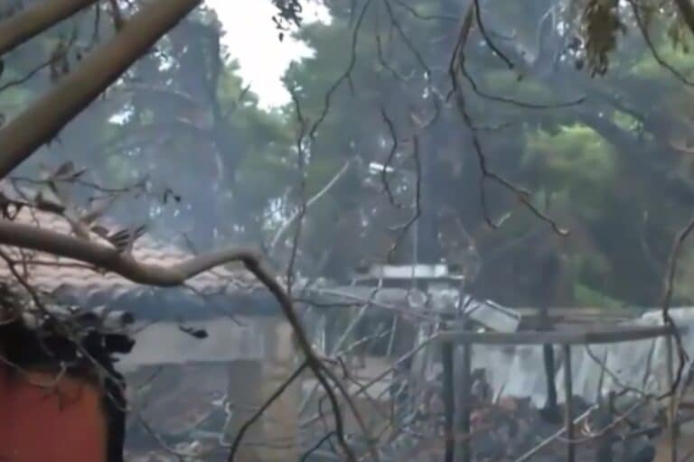 Φωτιά σε καφετέρια στους Άγιους Αναργύρους – Κάηκε ολοσχερώς το κατάστημα (βίντεο)