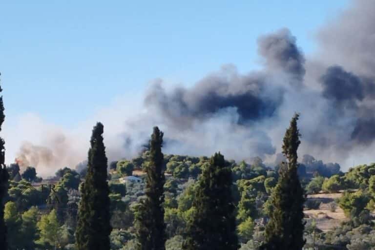 Μεγάλη φωτιά στην περιοχή Κουνούπι Αργολίδας – Μήνυμα από το 112 «απομακρυνθείτε προς Πόρτο Χέλι»