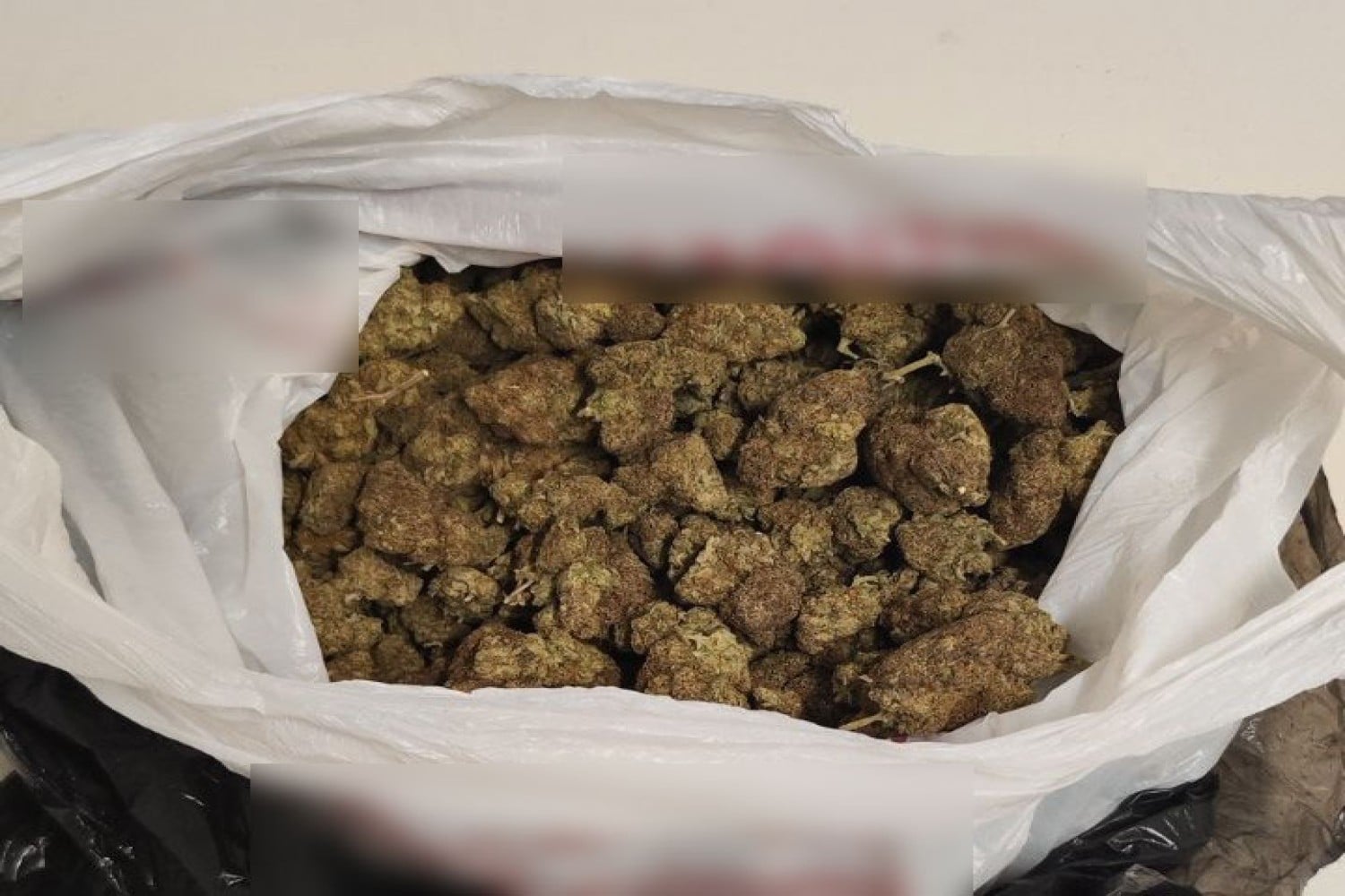 kannavi kipseli 23 9 2025