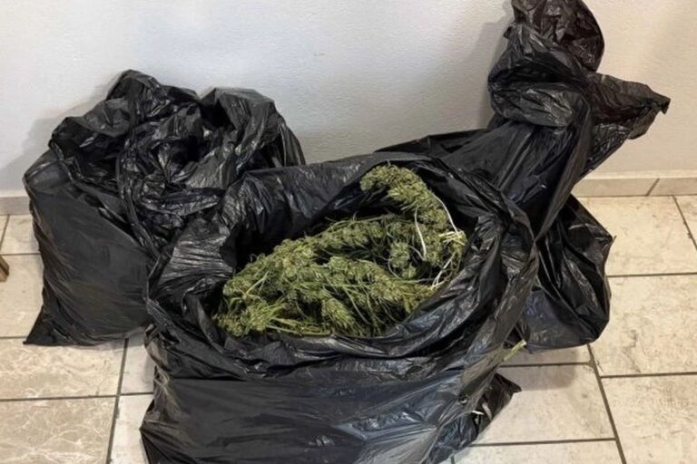 Λαμία: Χασισοκαλλιεργητής με μαχαίρι επιτέθηκε σε αστυνομικούς για να γλιτώσει τη σύλληψη