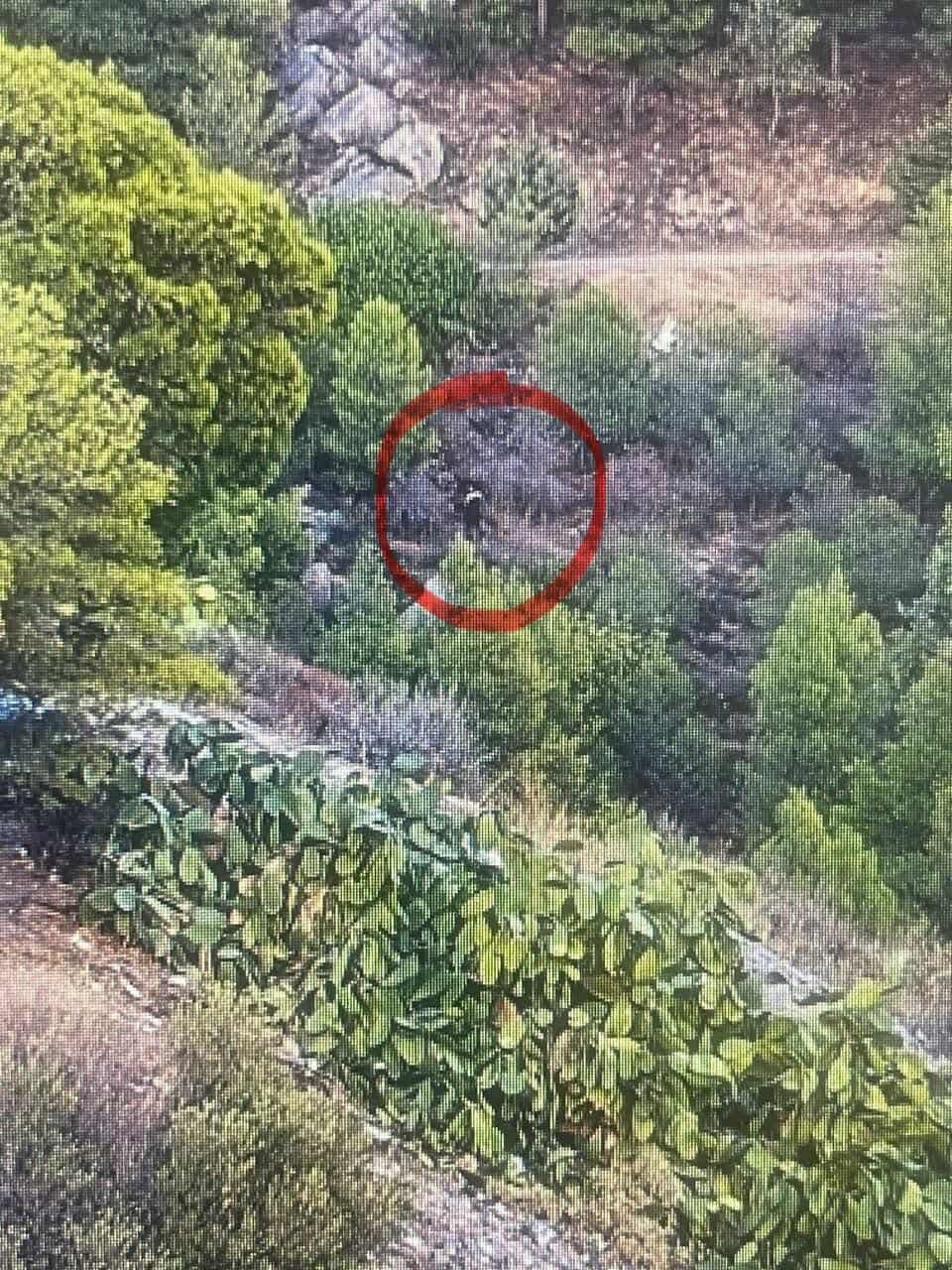 palaistinios emprismos 16 9 2025 2