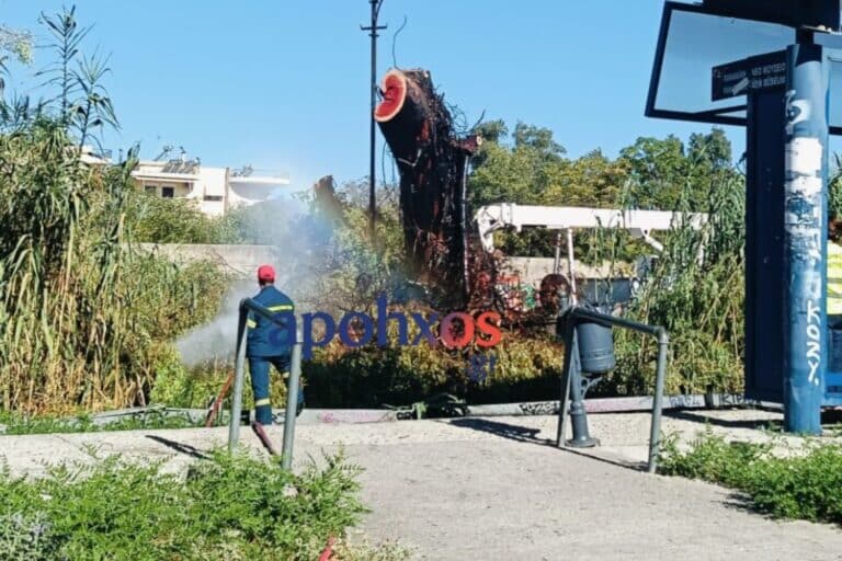 Πάτρα: Φωτιά δίπλα στις γραμμές του Προαστιακού – Οι κάτοικοι εντόπισαν ύποπτο άτομο, προσήχθη από την ΕΛ.ΑΣ.