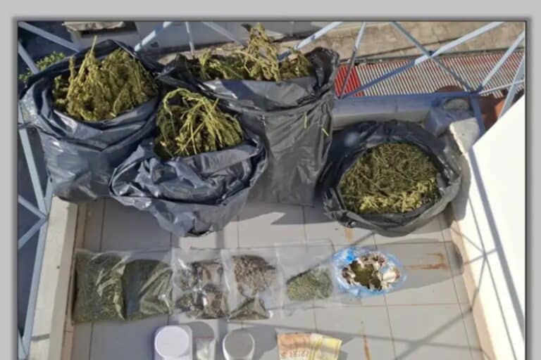 Τρίκαλα: Συνελήφθη άνδρας με πάνω από τρία κιλά κάνναβης