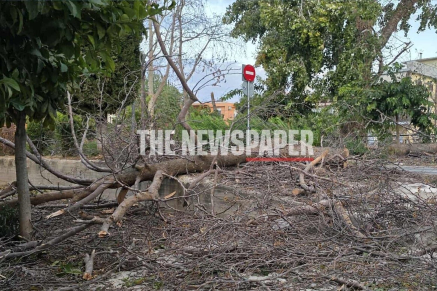 volos zimies 18 9 25