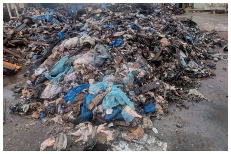 Απόβλητα από την Κέρκυρα θάβονταν παράνομα στην Ήπειρο – Συνελήφθησαν τρία άτομα 