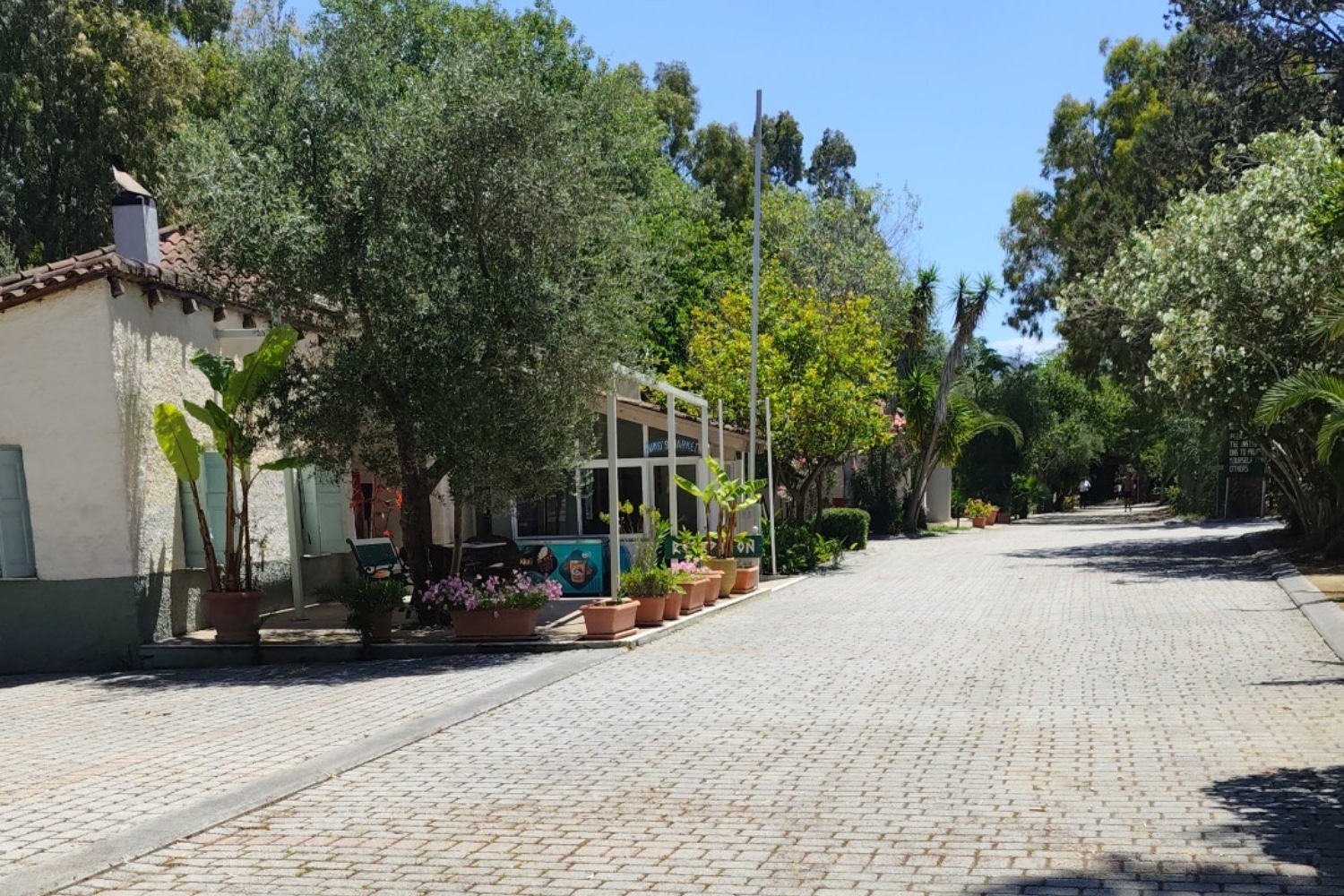 camping ammos 6 10 1