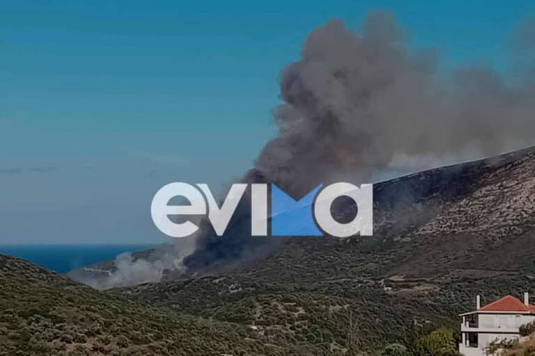 Φωτιά στην Παραλία Ζαράκων Ευβοίας – Σηκώθηκαν αεροσκάφη και ελικόπτερα της Πυροσβεστικής (εικόνες & βίντεο)