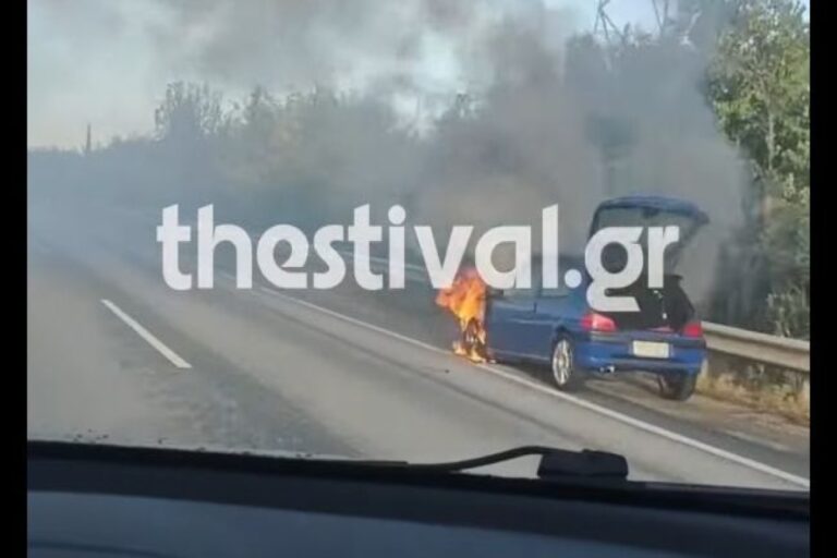 Θεσσαλονίκη: Φωτιά ξέσπασε στην Εγνατία Οδό κοντά στα διόδια Ωραιοκάστρου (βίντεο)
