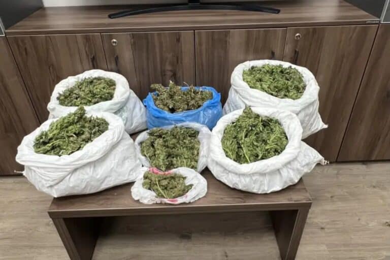 Κρήτη: Μεγάλη αστυνομική επιχείρηση στο Ρέθυμνο – Τέσσερις συλλήψεις (εικόνα)